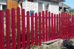 Красный евроштакеник